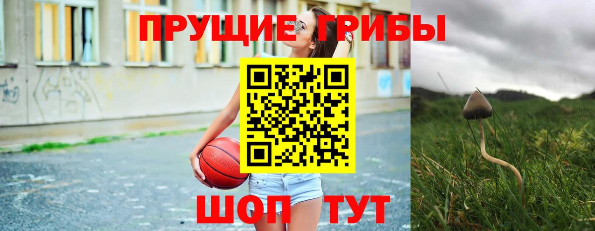 Псилоцибиновые грибы Psilocybe Выкса