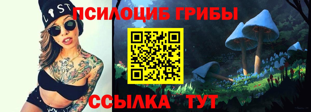 Выкса  Галлюциногенные грибы прущие грибы  Псилоцибиновые грибы Cubensis  Вход с VPN 
